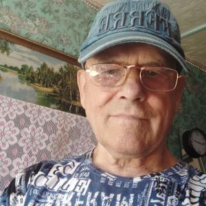 Геннадий, 78 лет, Новокузнецк