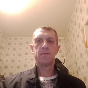 Михаил, 47 лет, Иваново