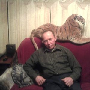 Anatolij Sergeev, 66 лет, Красноярск