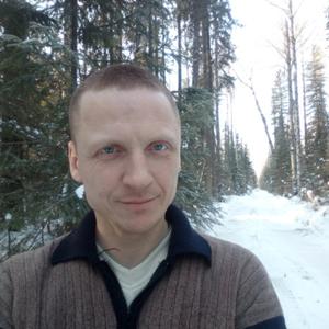 Sergei Yarkov, 43 года, Тюмень