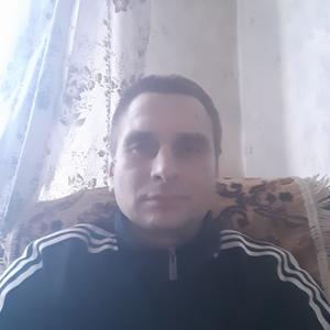 Сергей, 41 год, Великие Луки