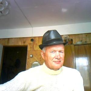 Виктор, 64 года, Архангельск