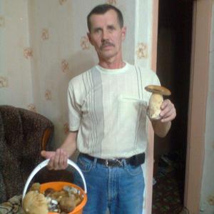 Парни в Новосибирске: Александр, 66 - ищет девушку из Новосибирска