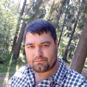 Парни в Светогорске: Андрей, 38 - ищет девушку из Светогорска