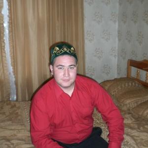 Рустам, 36 лет, Альметьевск