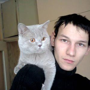 Алексей, 35 лет, Дубна