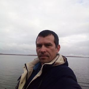 Алексей, 40 лет, Пикалево