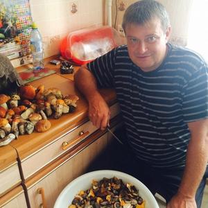 Алексей, 53 года, Струнино