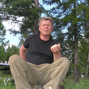 Михаил Рожков, 65 лет, Иркутск