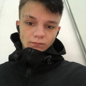 Сергей, 20 лет, Великий Новгород