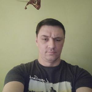 Макс, 41 год, Ломоносов