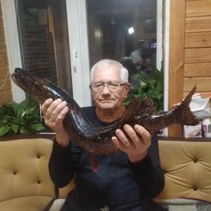 Валерий, 75 лет, Санкт-Петербург