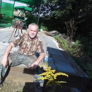 Сергей Зинкевич, 60 лет, Фрязино