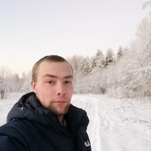 Дима, 29 лет, Вологда
