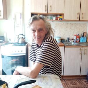 Александр, 66 лет, Лосино-Петровский