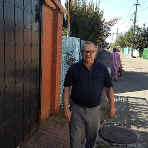 Геннадий, 65 лет, Краснодар