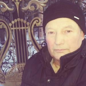 Александр Живодеров, 73 года, Мурманск