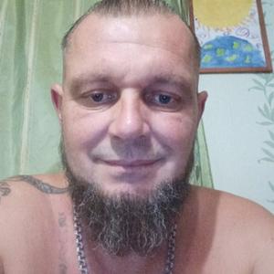 Иван, 48 лет, Вязьма