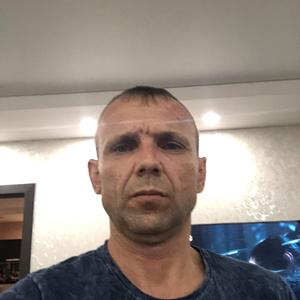 Алекс, 43 года, Пестово