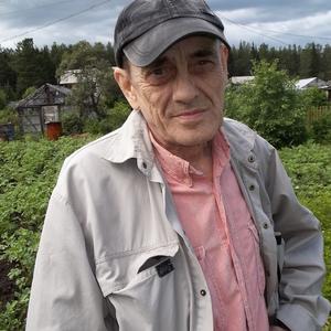 Александр Крюков, 71 год, Кировград