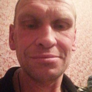 Андрей, 44 года, Борисов