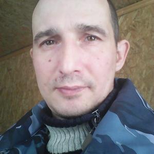 Андрей, 43 года, Александров