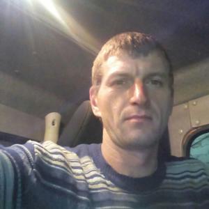 Гоша, 37 лет, Сылва