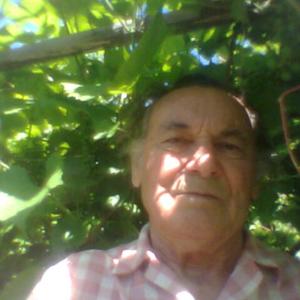 Иван, 76 лет, Пенза