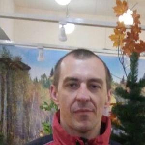 Сергей, 45 лет, Владимир