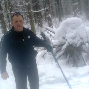 Андрей, 67 лет, Череповец