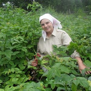 Анна, 58 лет, Кисловодск