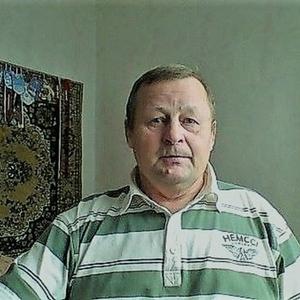 Сергей Черепанов, 67 лет, Североуральск