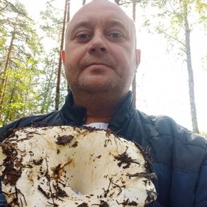 Ден, 44 года, Челябинск