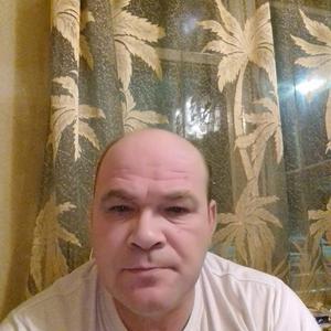Сергей, 54 года, Апатиты