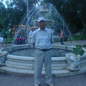 Анатолий, 66 лет, Кунгур