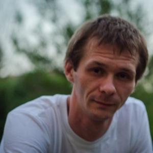 Александр Михеев, 38 лет, Климовск