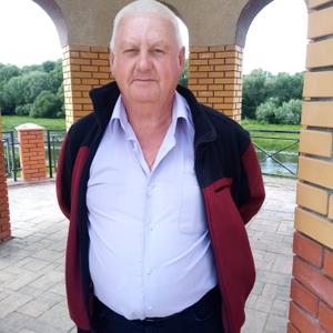 Владимир, 66 лет, Балашов