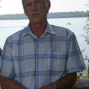 Владимир, 71 год, Ульяновск