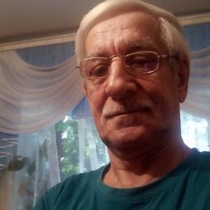 Михаил Дмитриев, 62 года, Стерлитамак