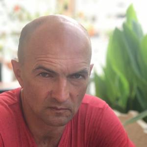 Андрей, 55 лет, Вологда