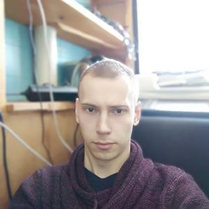 Александр, 31 год, Чернушка