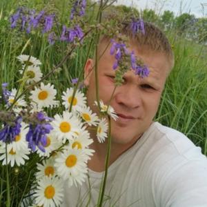 Алексей, 38 лет, Губкин