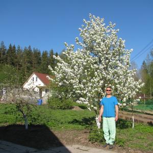 Василий, 43 года, Зеленогорск