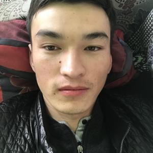 Эржан, 28 лет, Бишкек