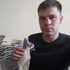 Александр, 35 лет, Новый Уренгой