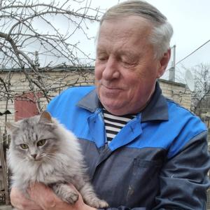 Юрий Казменков Афан, 73 года, Ростов-на-Дону
