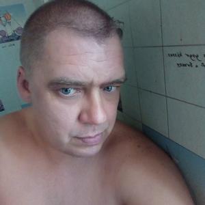 Sergey Spehin, 49 лет, Новотроицк