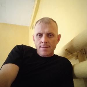 Александр, 41 год, Белогорск
