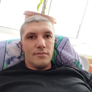 Алексей, 40 лет, Владимир