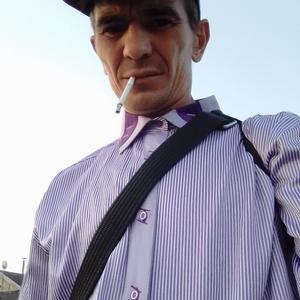Александр, 35 лет, Ярославль